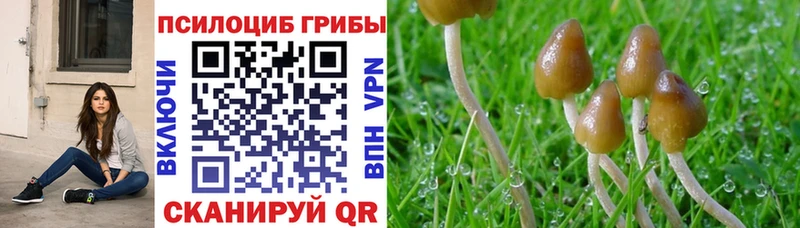 Псилоцибиновые грибы мухоморы Заволжск